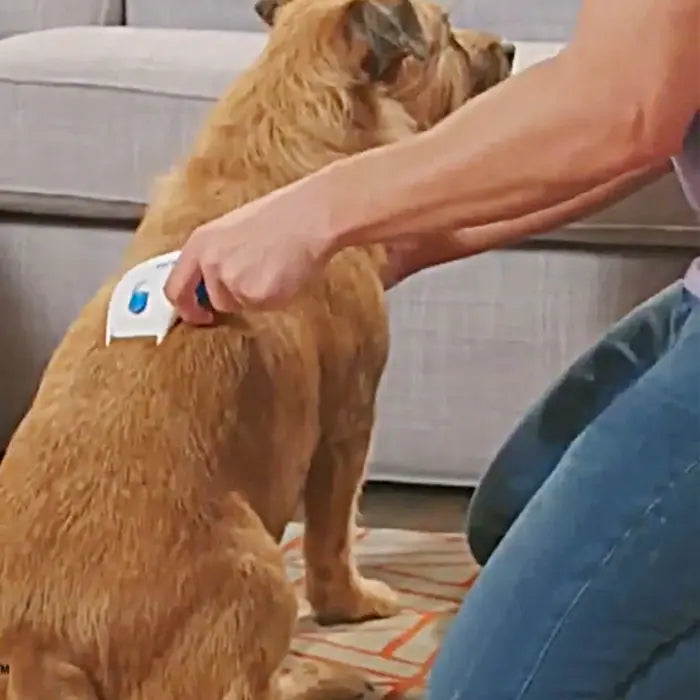 Flea Doctor Electric Flea & Tick Comb for Dogs and Cats_3